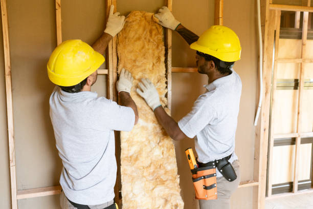 Best Basement Insulation  in Livingston, AL